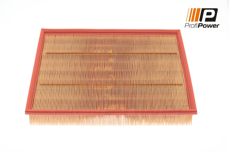Filtre à air ProfiPower 2F0015