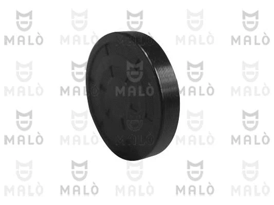 Bouchon, axe de culbuteurs-nez fileté AKRON-MALÒ 732021