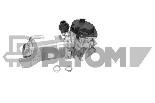 Module-EGR PLYOM P764475