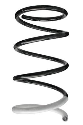Ressort de suspension SPIDAN 86411
