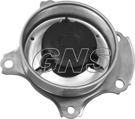 Pompe à eau, refroidissement du moteur GNS YH-T206