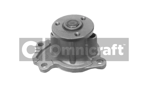 Pompe à eau, refroidissement du moteur Omnicraft 2316932