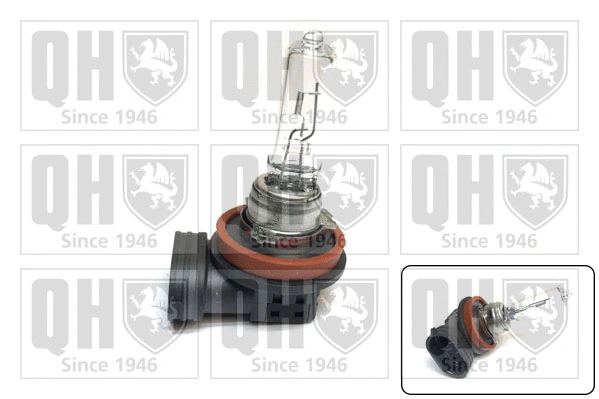 Ampoule, projecteur longue portée QUINTON HAZELL QBL709