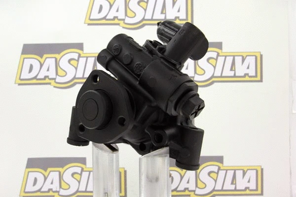 Pompe hydraulique, direction DA SILVA DP2951