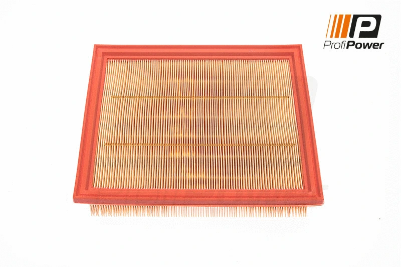 Filtre à air ProfiPower 2F0080