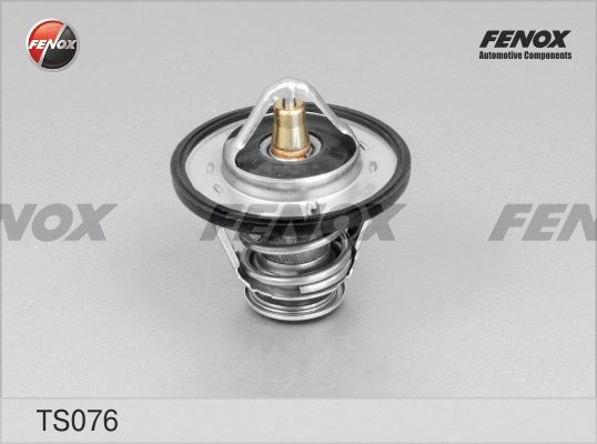 Thermostat, liquide de refroidissement FENOX TS076