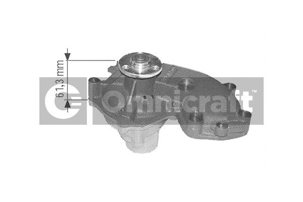 Pompe à eau, refroidissement du moteur Omnicraft 2317204