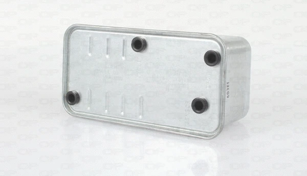 Filtre à carburant OPEN PARTS EFF5224.10