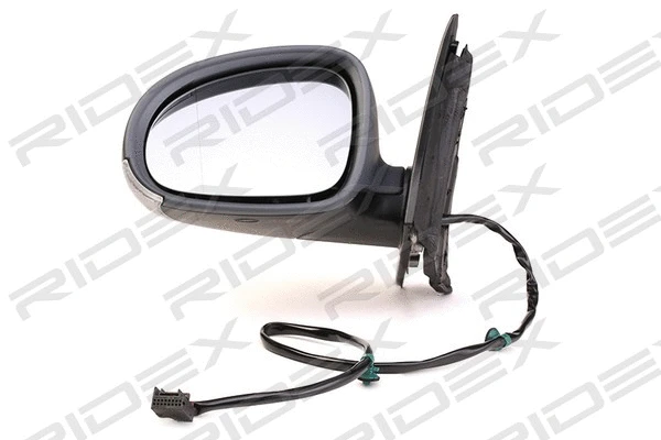 Rétroviseur extérieur RIDEX 50O0165