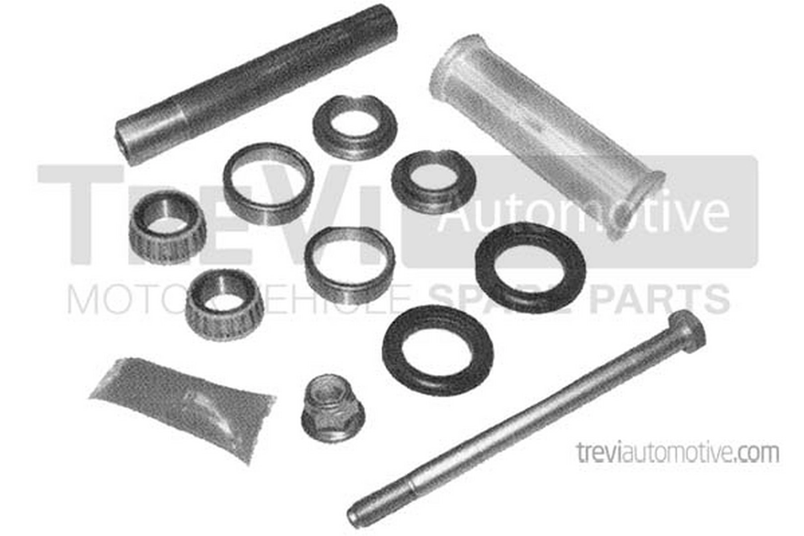 Jeu de bras, suspension de roue TREVI AUTOMOTIVE TRTT2046