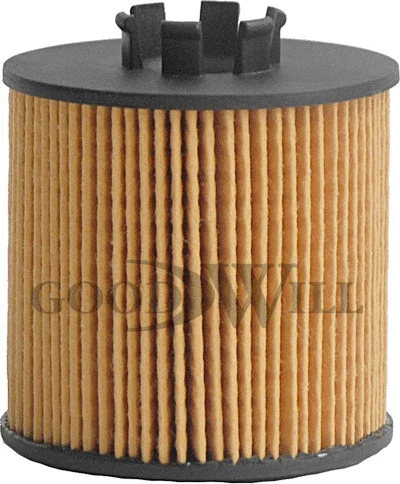 Filtre à huile GOODWILL OG 200 ECO