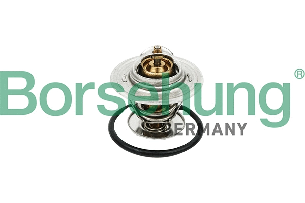 Thermostat, liquide de refroidissement Borsehung B18256