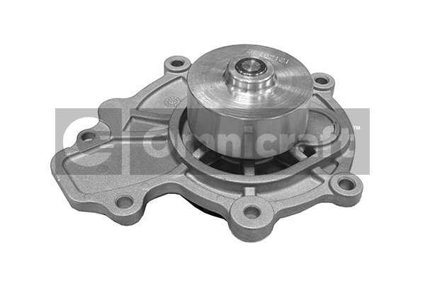 Pompe à eau, refroidissement du moteur Omnicraft 2317183