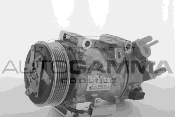 Compresseur, climatisation AUTOGAMMA 118571