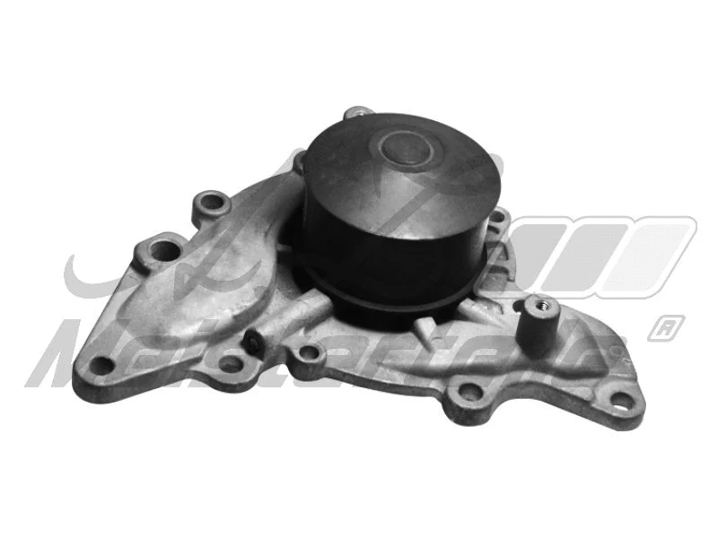 Pompe à eau, refroidissement du moteur A.Z. Meisterteile AZMT-30-100-1246