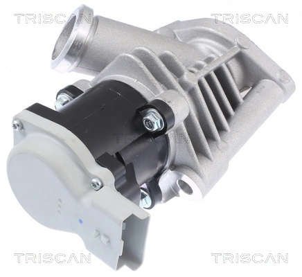 Vanne EGR TRISCAN 8813 28028