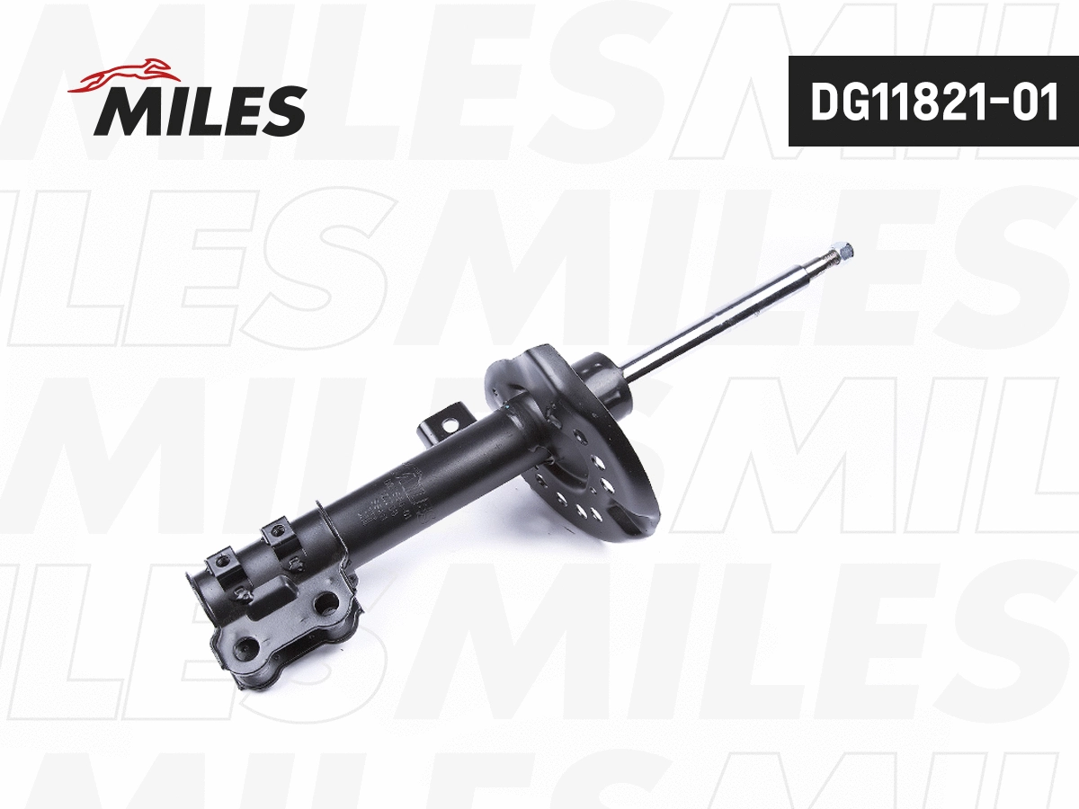 Amortisseur MILES DG11821-01
