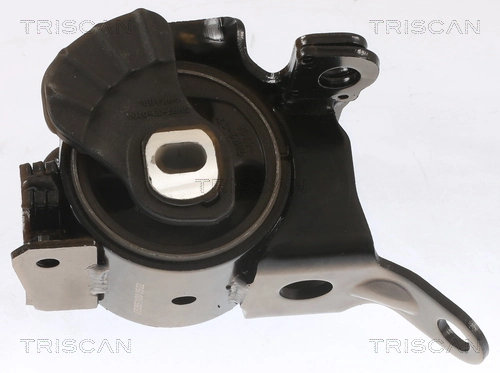 Support moteur TRISCAN 8505 50100