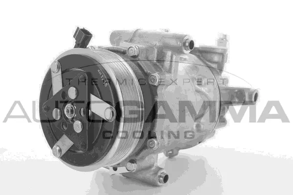 Compresseur, climatisation AUTOGAMMA 118443