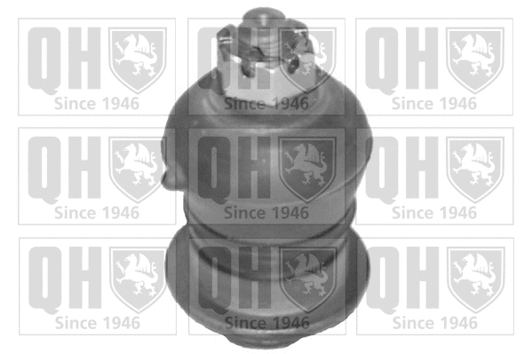 Rotule de suspension QUINTON HAZELL QSJ1794S