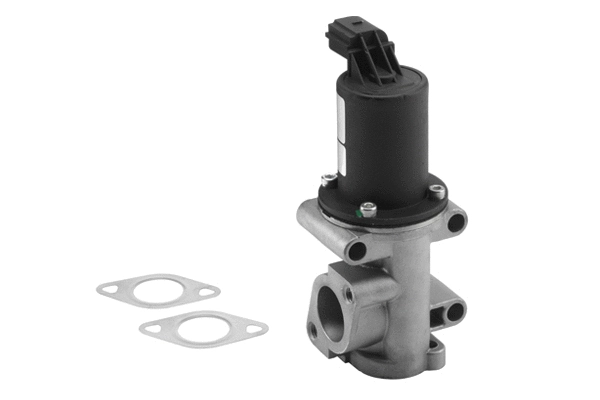 Vanne EGR BorgWarner 710960R