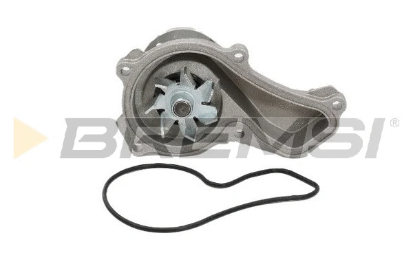 Pompe à eau, refroidissement du moteur BREMSI WP0479