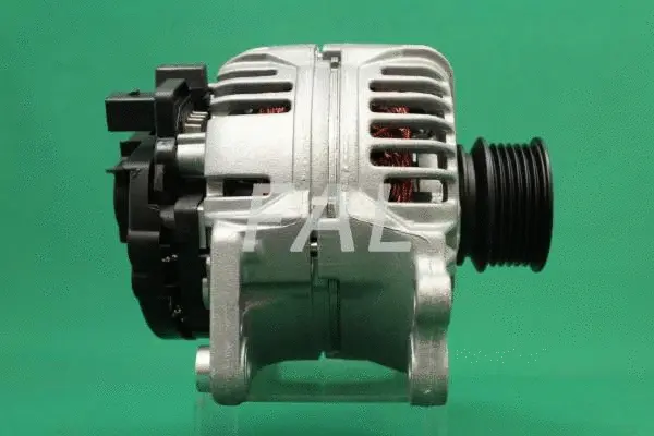 Alternateur FAL Anlasser- und Lichtmaschinenservice F003026/2