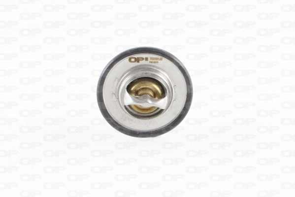 Thermostat, liquide de refroidissement OPEN PARTS TRM1001.00