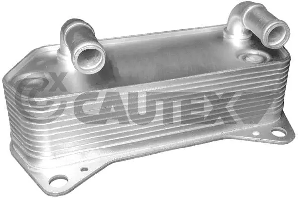 Radiateur d'huile CAUTEX 462519