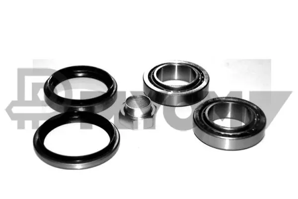 Kit de roulements de roue PLYOM P754739