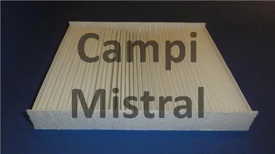 Filtre, air de l'habitacle Mistral Filter AVF0809