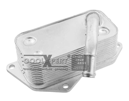Radiateur d'huile BBR Automotive 003-60-16325