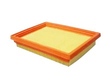 Filtre à air ACDelco Oceania ACA352