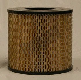 Filtre à air FLEETGUARD AF25399