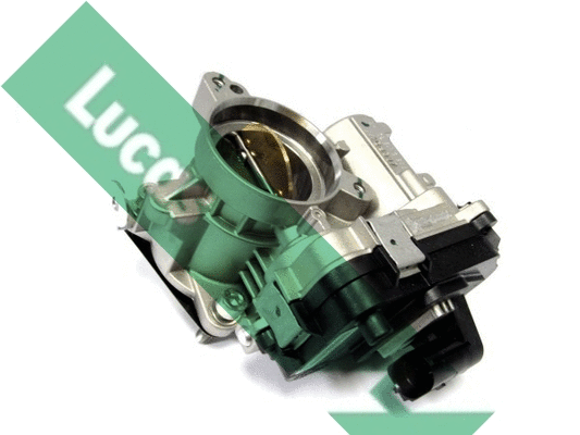 Corps papillon LUCAS LTH462