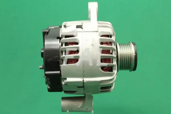 Alternateur FAL Anlasser- und Lichtmaschinenservice F012073/1