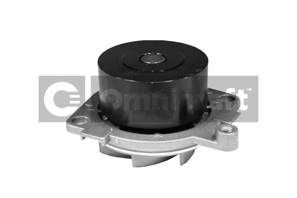Pompe à eau, refroidissement du moteur Omnicraft 2317280
