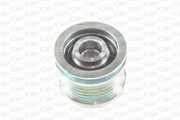 Poulie roue libre, alternateur OPEN PARTS ACA3021.00