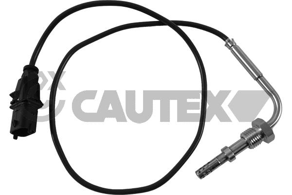 Capteur, température des gaz CAUTEX 771150