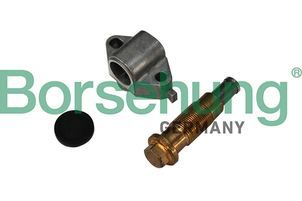 Tendeur, chaîne de distribution Borsehung B1T024