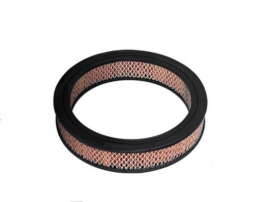 Filtre à air ACDelco Oceania ACA31