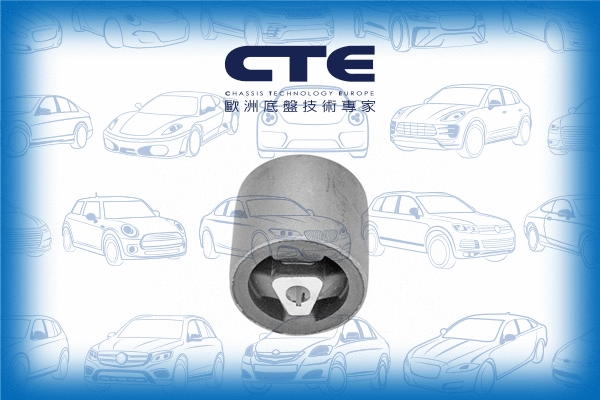 Suspension, bras de liaison CTE CBH09016