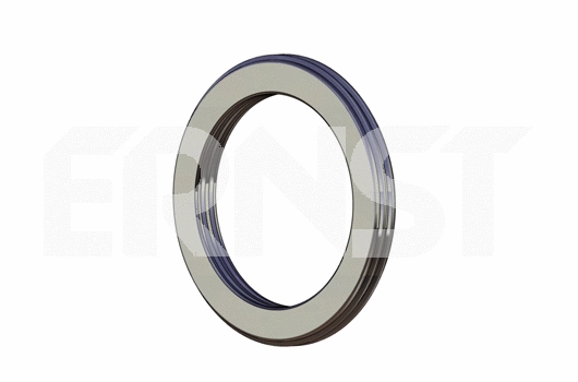 Bague d'étanchéité, tuyau d'échappement ERNST 492119
