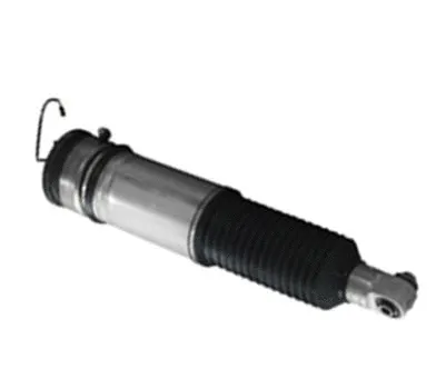 Armortisseur pneumatique MAXTRAC 501030030L