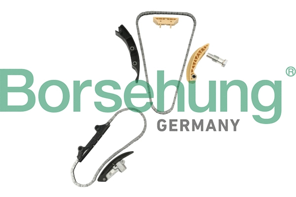 Kit de distribution par chaîne Borsehung B10207
