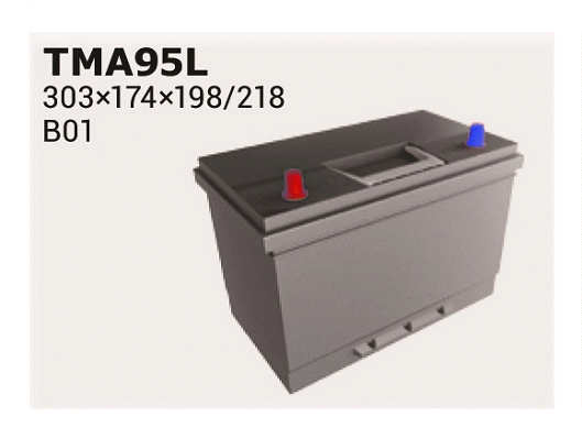 Batterie de démarrage IPSA TMA95L