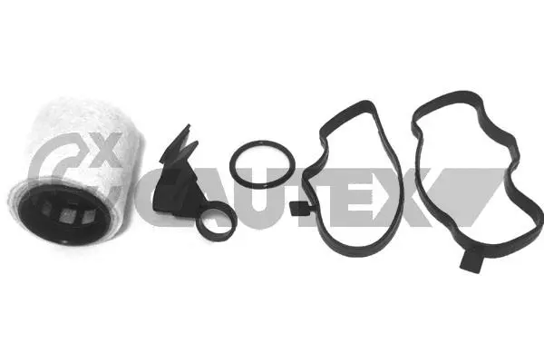 Filtre, ventilation du carter-moteur CAUTEX 757686