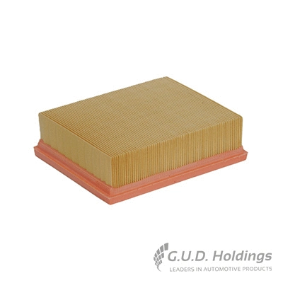 Filtre à air GUD AG1083
