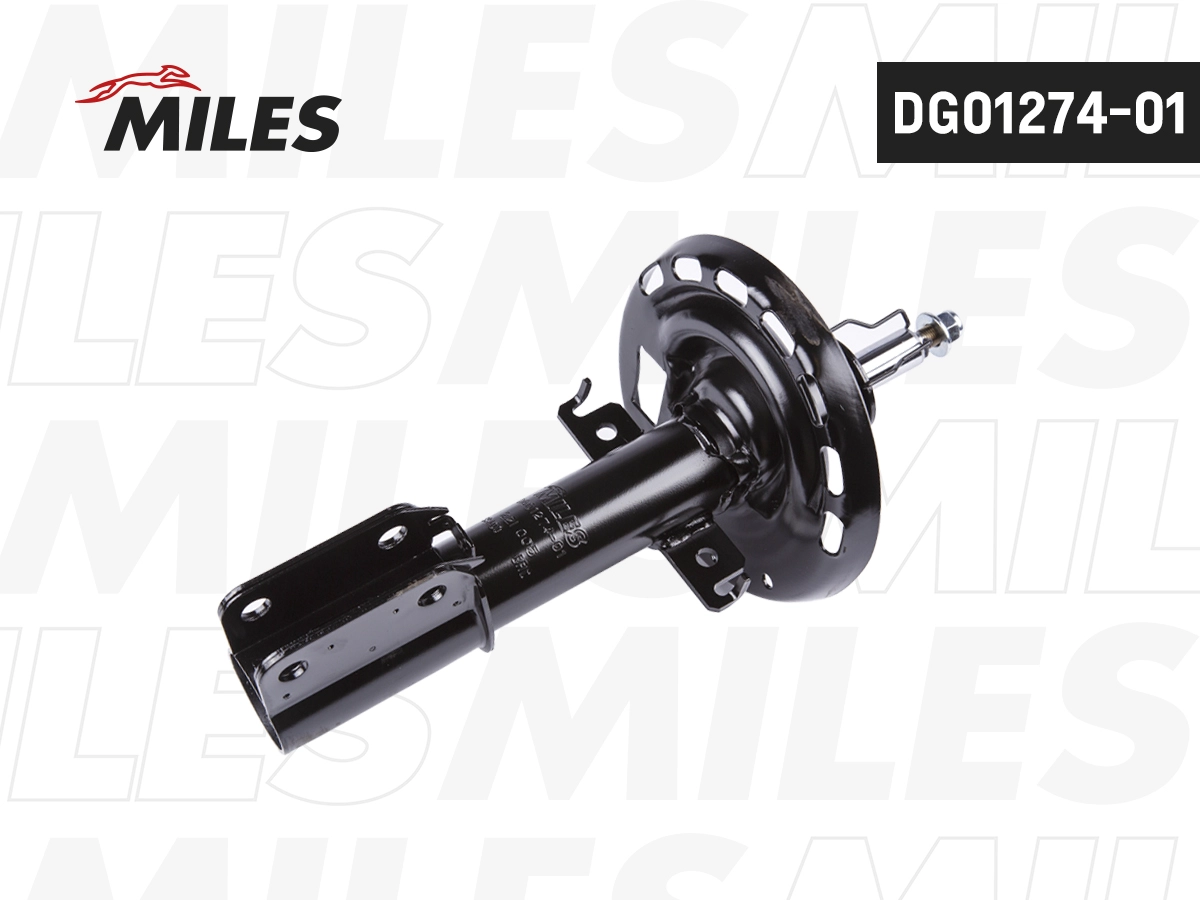 Amortisseur MILES DG01274-01