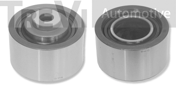 Poulie renvoi/transmission, courroie crantée TREVI AUTOMOTIVE TD1365
